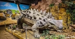 Dinosaur in the Glendive Dinosaur & Fossil Museum