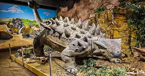 Dinosaur in the Glendive Dinosaur & Fossil Museum