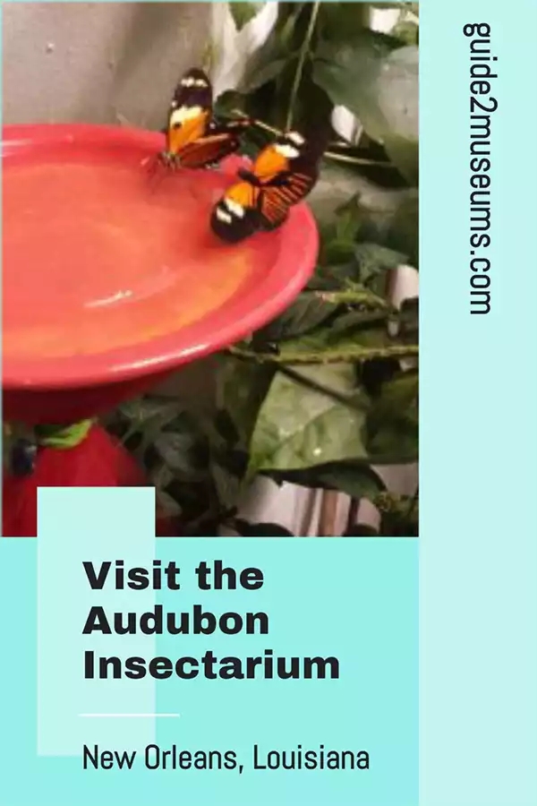 Visit the Audubon Insectarium in New Orleans, Louisiana | #travel #museums #nature #bugs #insectarium #NOLA #Louisiana