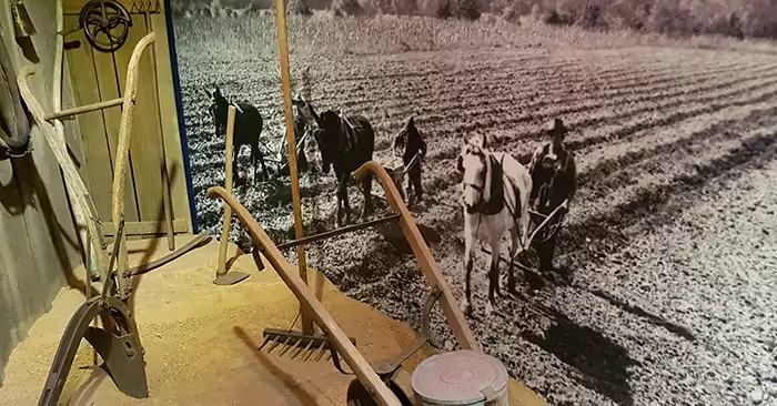 Variety of hand cultivating tools against a wall photo of men plowing a field with horses. 